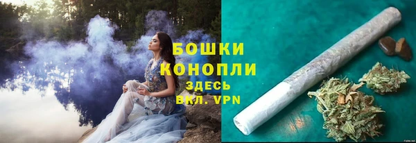 ECSTASY Пересвет
