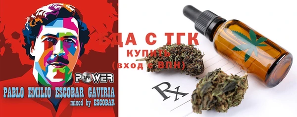 ECSTASY Пересвет