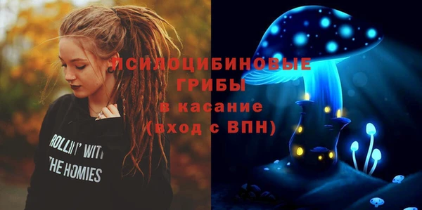 ECSTASY Пересвет