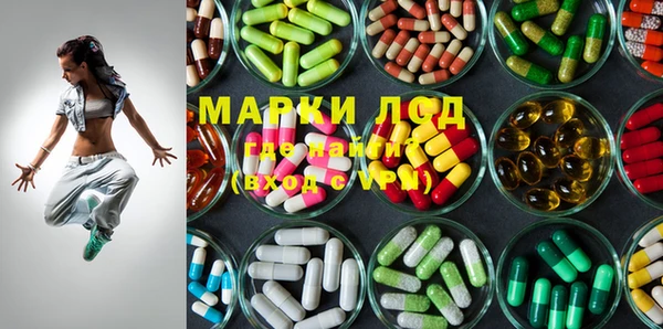 ECSTASY Пересвет