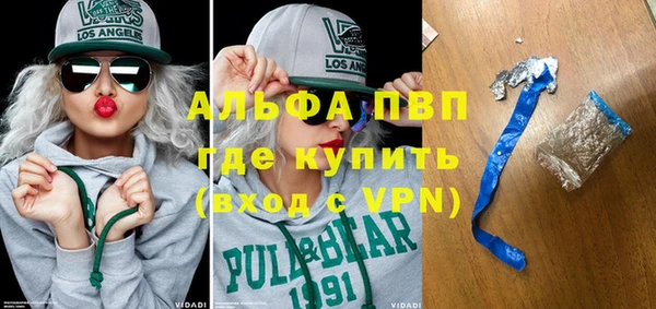 ECSTASY Пересвет