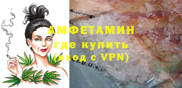 ECSTASY Пересвет