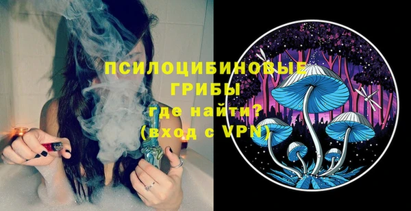 PSILOCYBIN Пестово