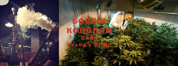ECSTASY Пересвет