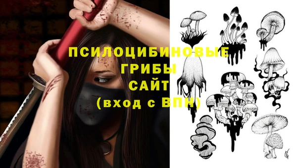 2c-b Переславль-Залесский