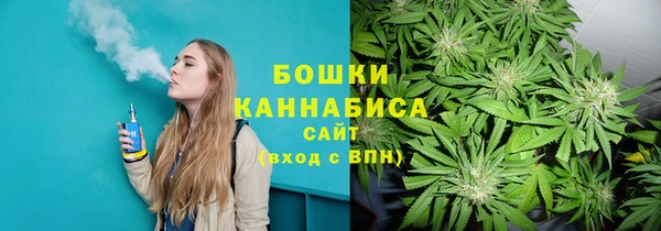 PSILOCYBIN Пестово